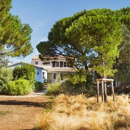 Grand Marchais Les Portes-en-Re
